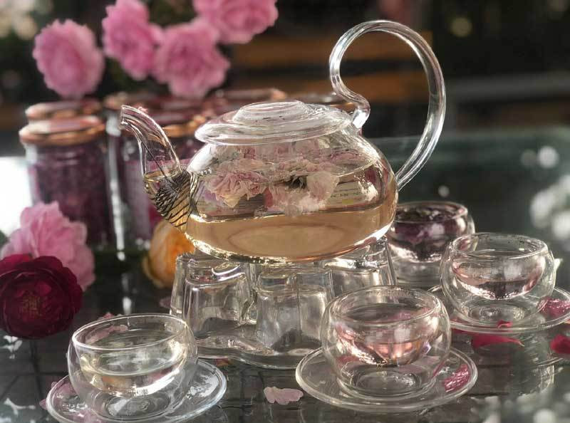 trồng hoa hồng,nông nghiệp hữu cơ,khởi nghiệp nông nghiệp,trà hoa hồng,hoa hồng