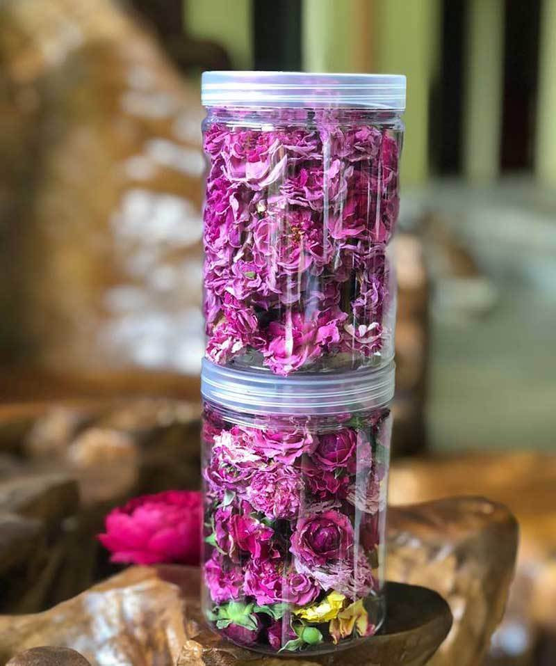 trồng hoa hồng,nông nghiệp hữu cơ,khởi nghiệp nông nghiệp,trà hoa hồng,hoa hồng