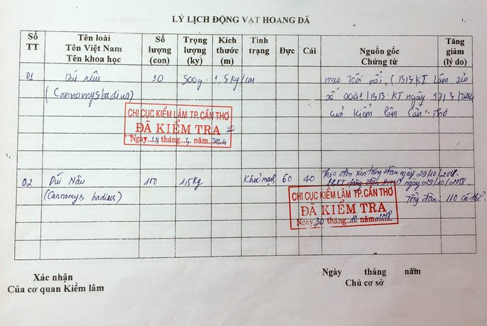 Lấy tre nuôi dúi, “bỏ túi” 30 triệu đồng/tháng - Ảnh 8.
