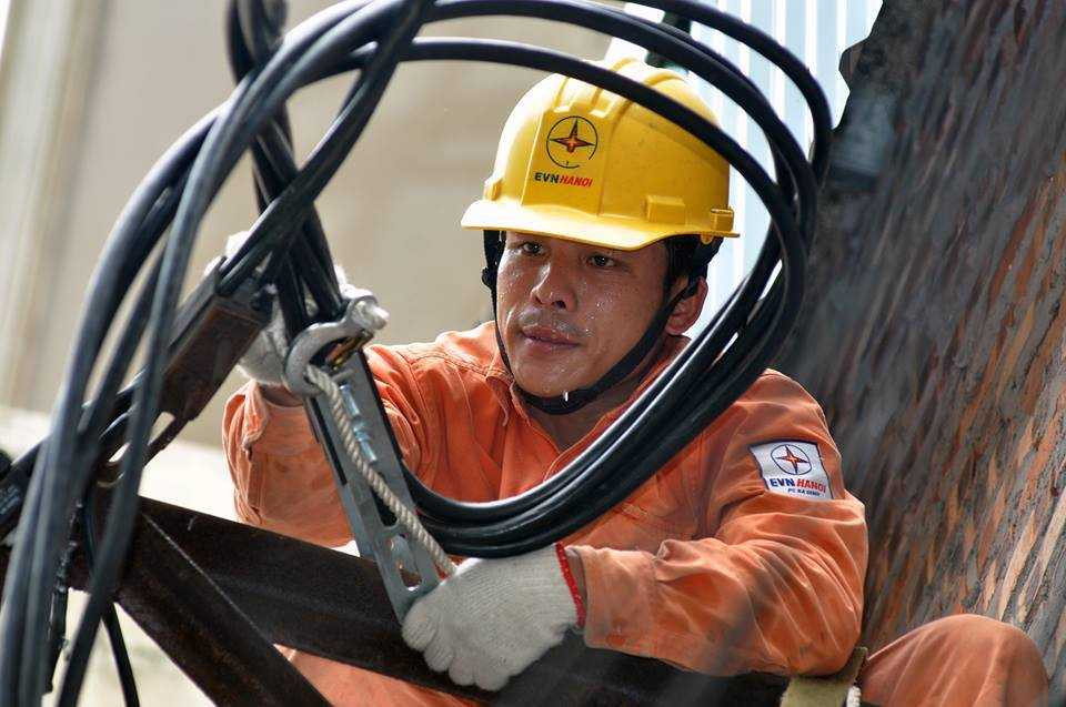 13487557_1109950585693971_1833225032_n