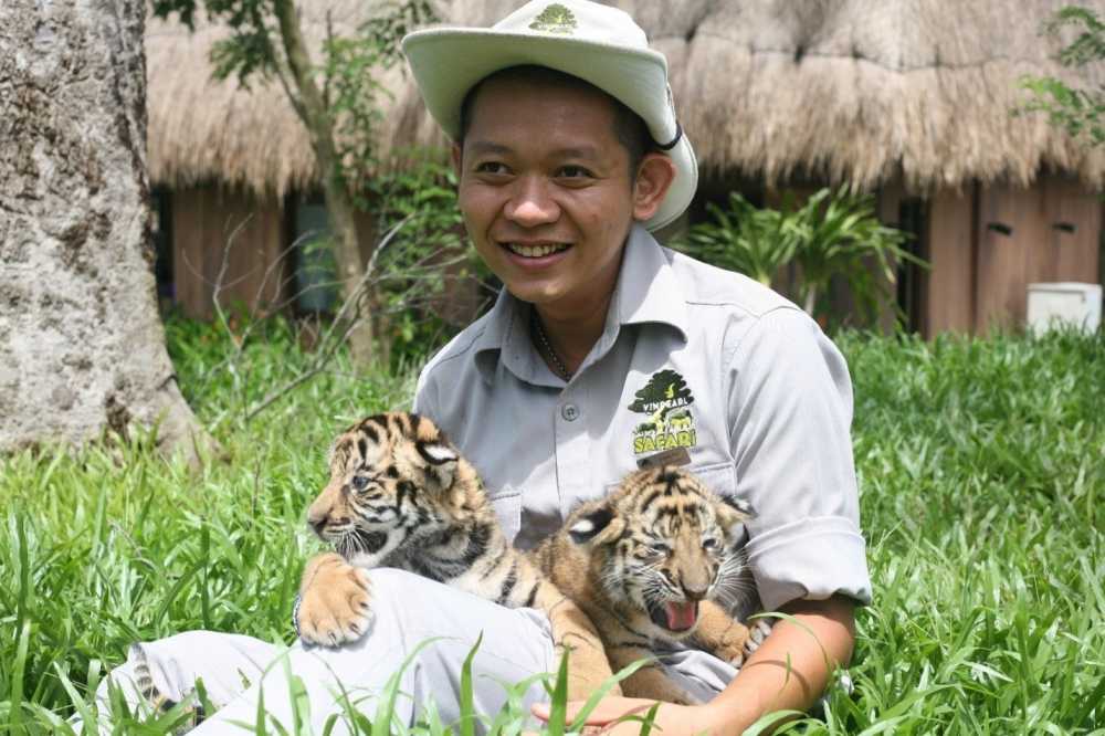 Ho Bengal 3