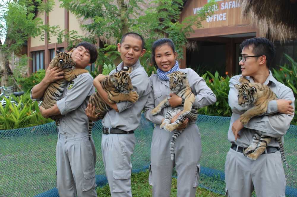 Ho Bengal 4_re