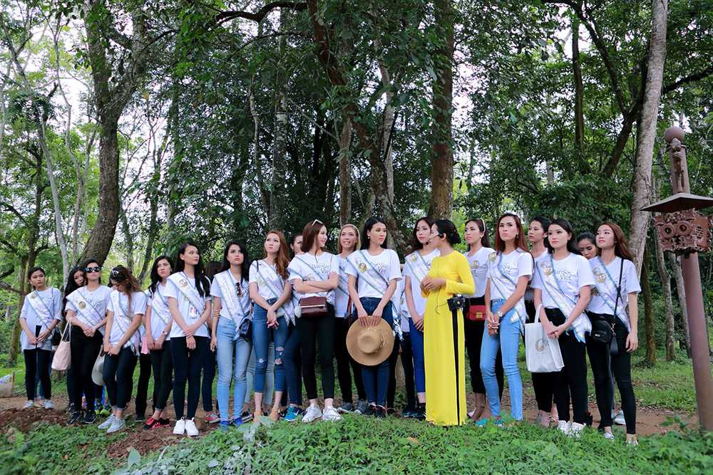 Nghe chuyen cay Lim hien than