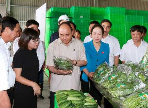 103245_thu-tuong-nguyen-xuan-phuc-den-tham-du-an-dau-tu-nong-nghiep-ung-dung-cong-nghe-cao-vineco-hai-phong