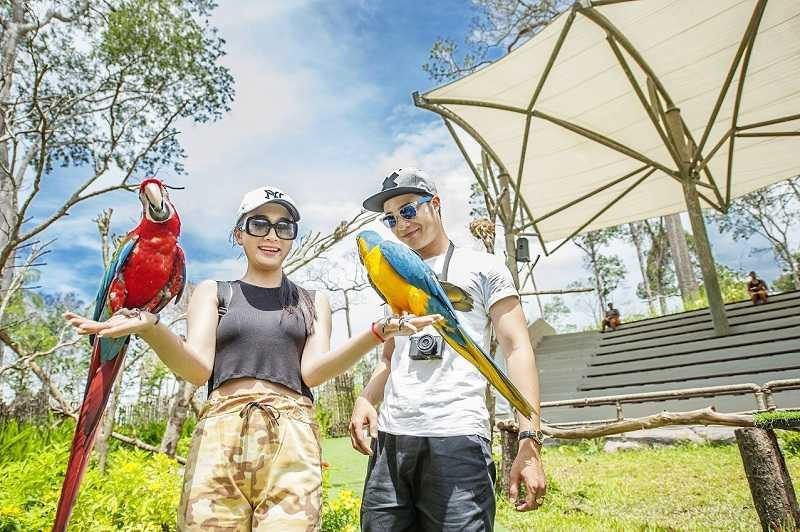 Nhung chu vet sac so nhu buoc ra tu phim Rio