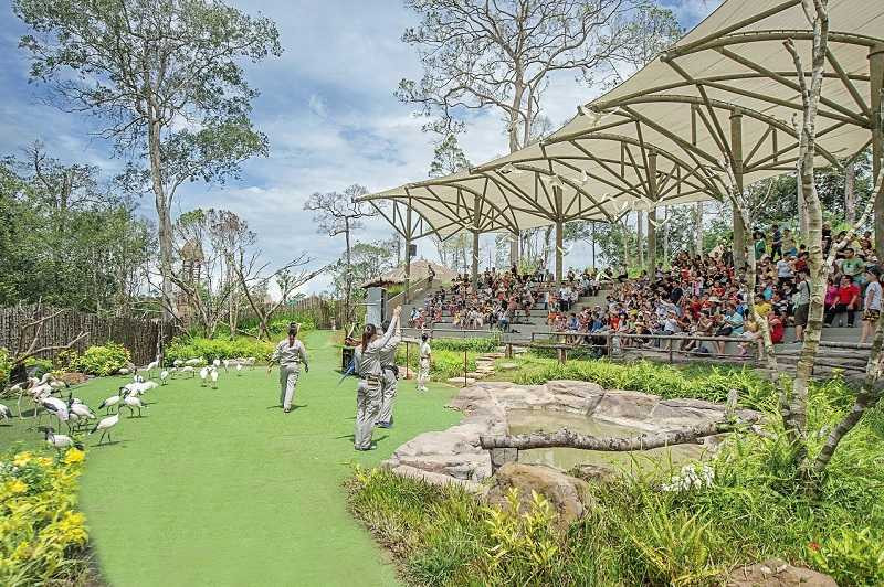 Vinpearl Safari don tiep hang ngan luot khach moi ngay