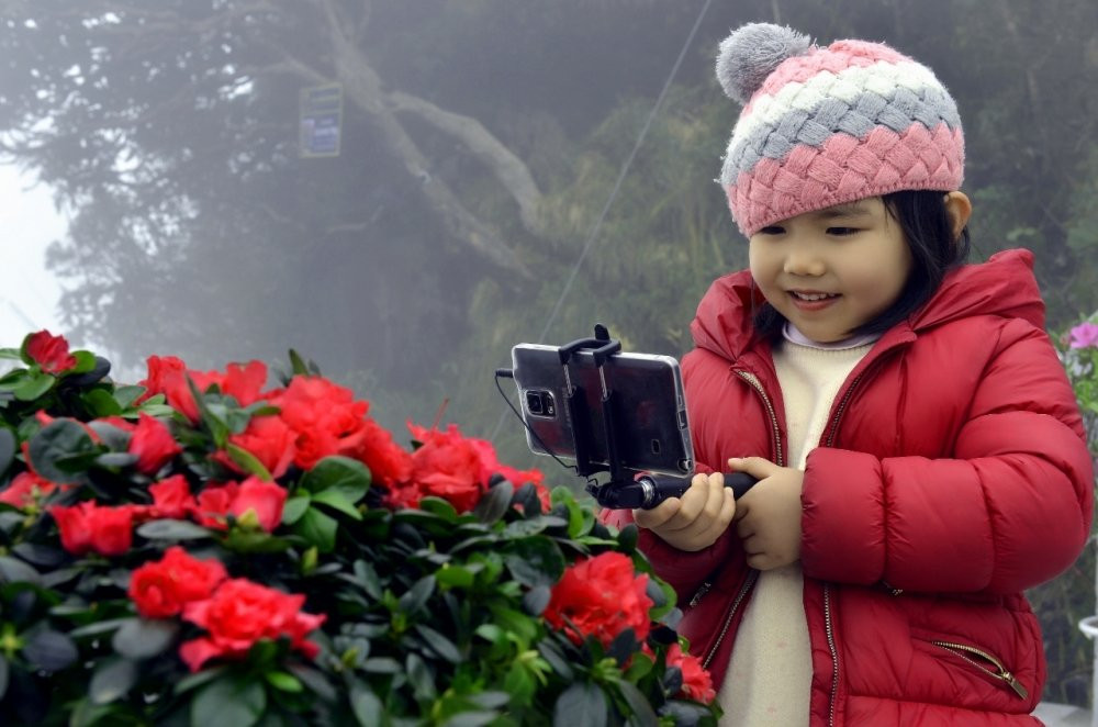 le-hoi-hoa-do-quyen-Fansipan (1)