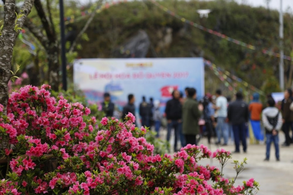 le-hoi-hoa-do-quyen-Fansipan (2)