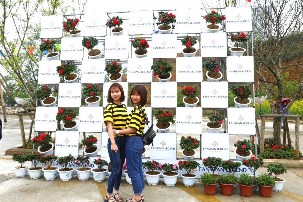 le-hoi-hoa-do-quyen-Fansipan (3)