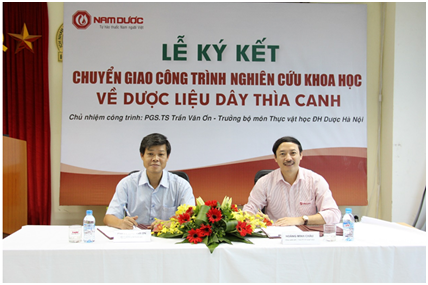 Hinh anh 3