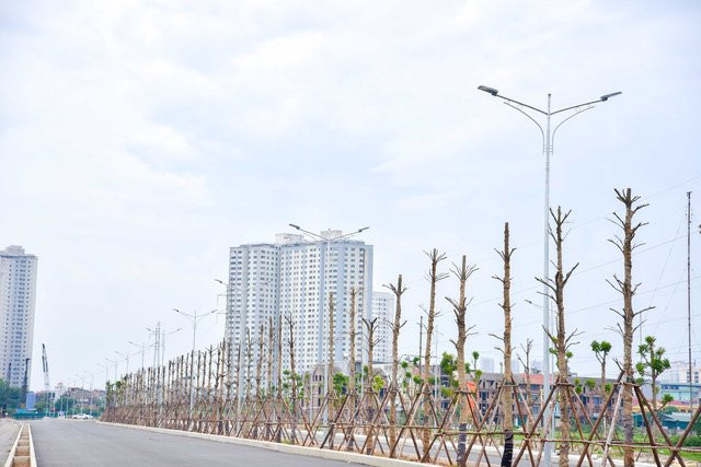 duong-xa-la-nguyen-xien-12-1497525376183 4