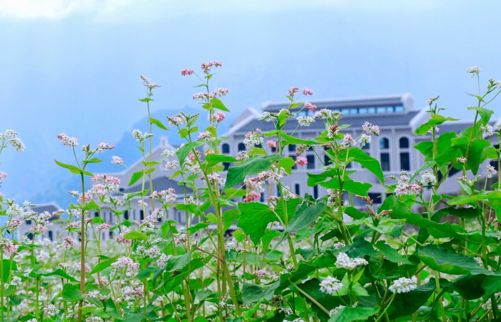 tam-giac-mach-Fansipan-Legend (3)