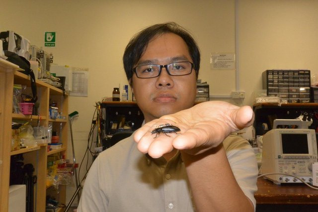 dsc8008-1510799897685