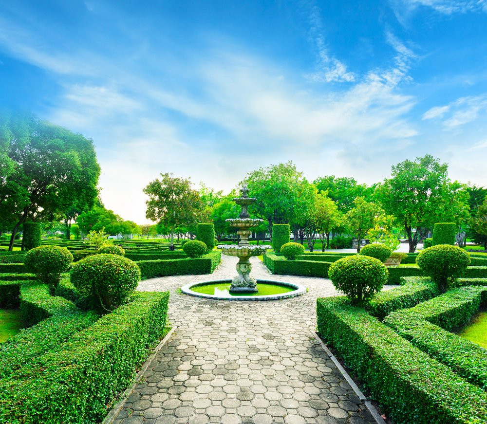 shutterstock_531031798_resize (1) 3