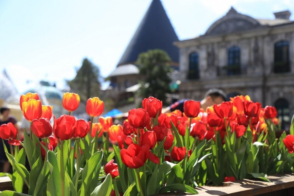 le hoi hoa sun world ba na hills (3)