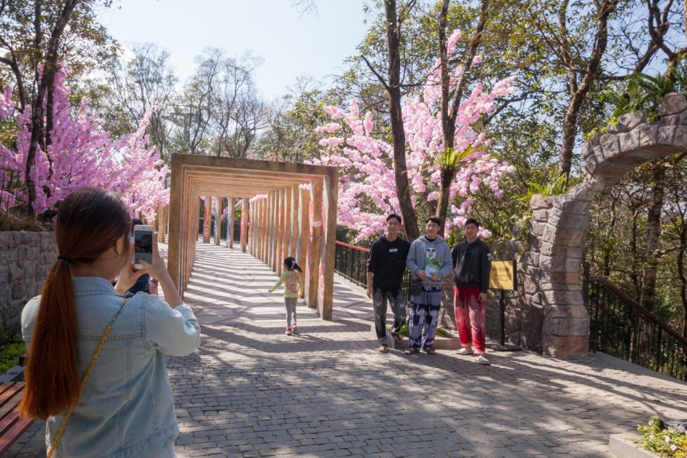 le hoi hoa sun world ba na hills (6) 4