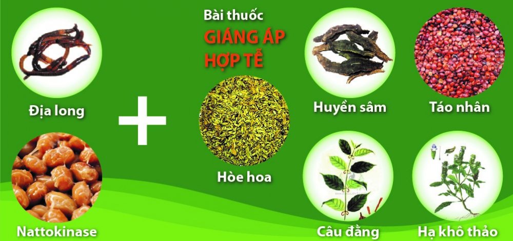 bai-thuoc-dong-y-pha-tan-cac-cuc-mau-dong