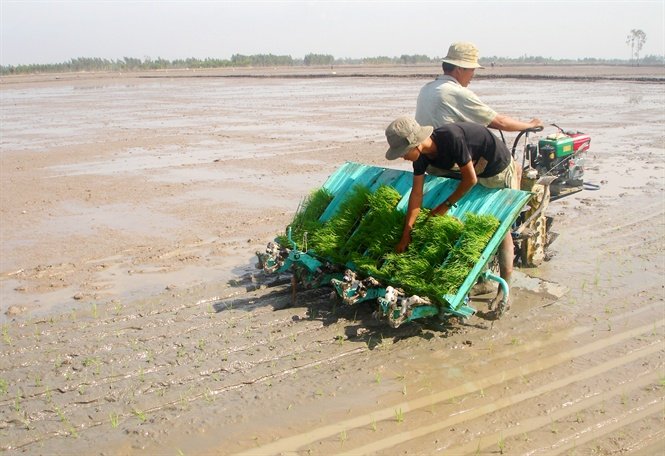 09-04-03_nh_1_-_p_dung_co_gioi_ho_trong_gieo_s