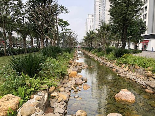 cho-doi-cu-hich-lon-tren-thi-truong-von-khu-vuc-1