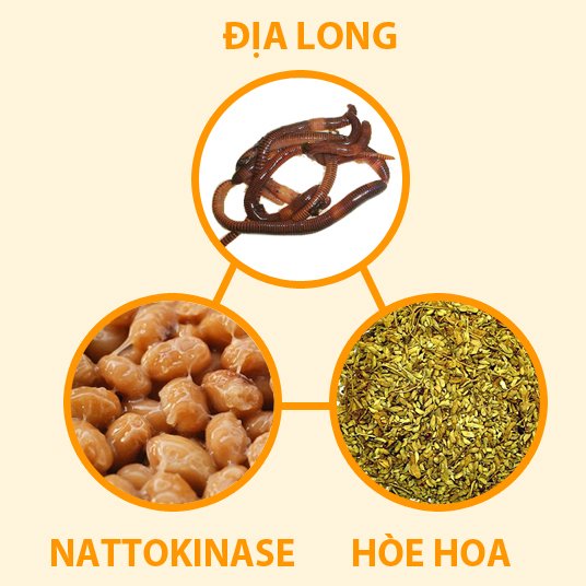 Anh 3-dia_long_hoe-hoa_nattokinase 3