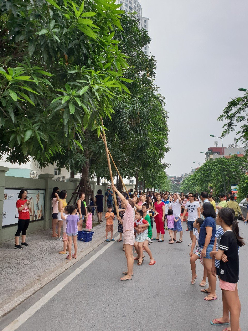 2306_VH_PTCD PR1 Anh 4 4