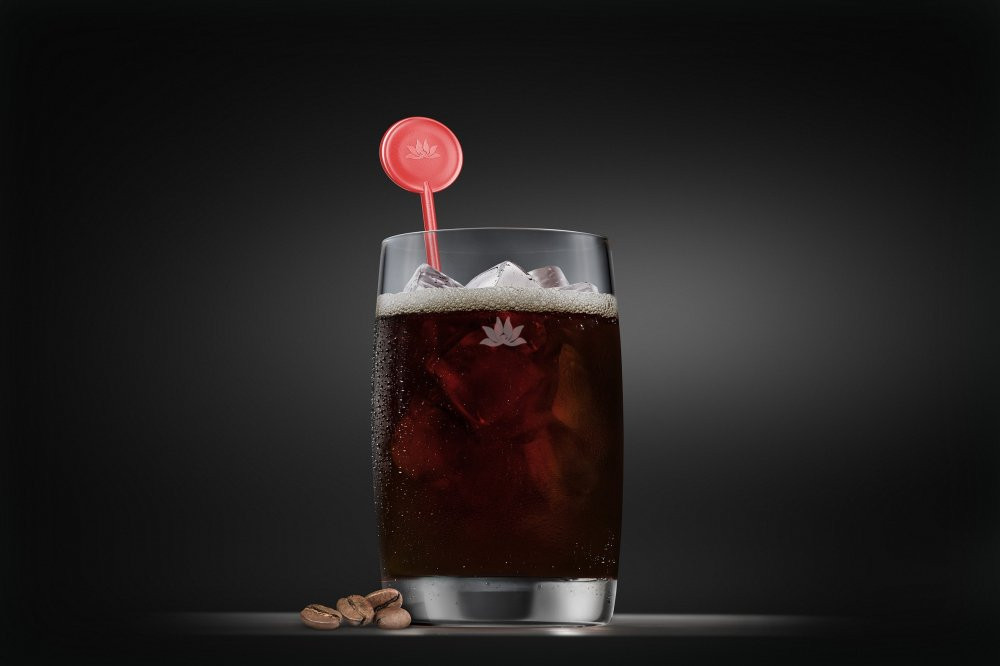 Vu Dieu Cong Chieng 1 4