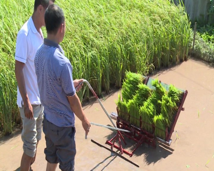 mang giac mo xu nguoi hien thuc hoa tren dong ruong Viet Nam