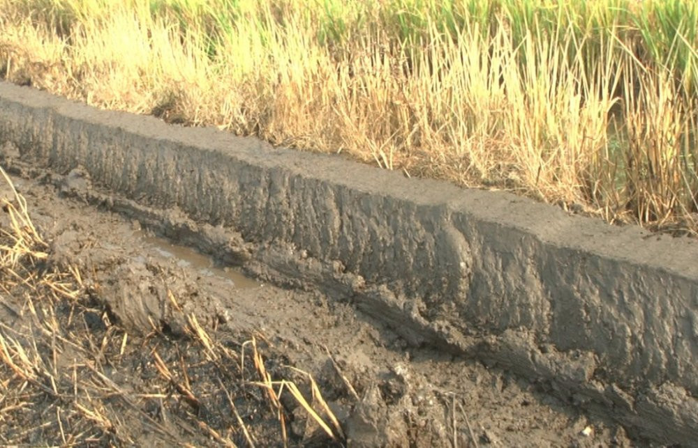 Nong dan Dong Thap che tao may dap bo