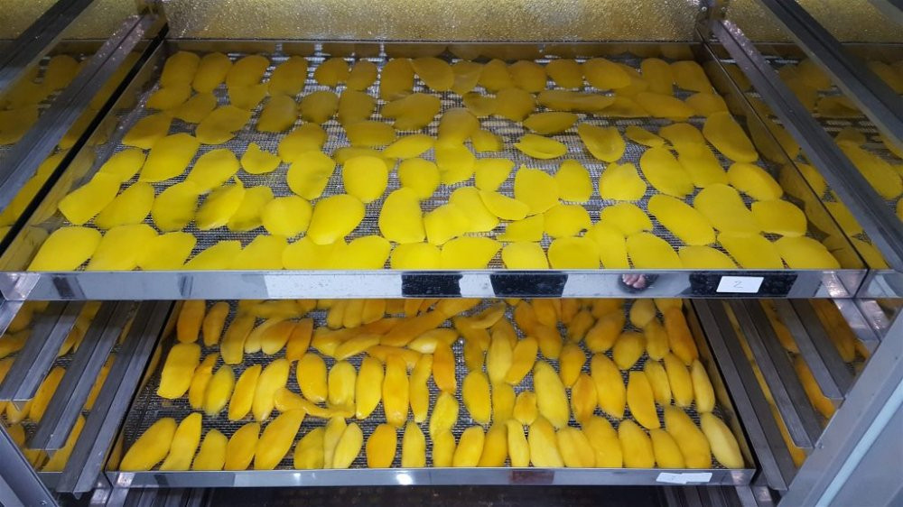 cong nghe say nong san (2)