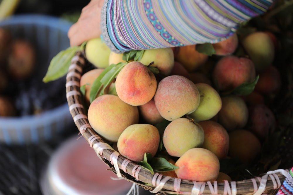 7 Sun World Fansipan Legend 7