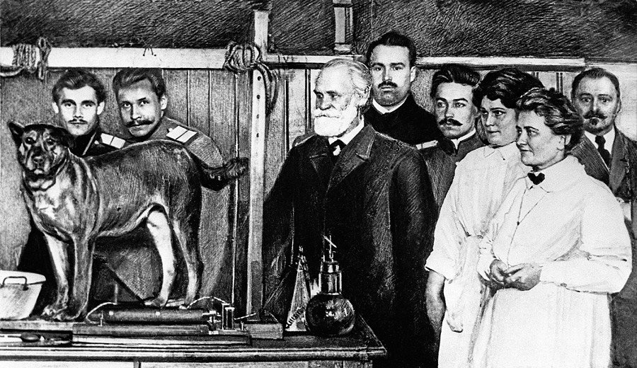 5a44e9df85600a79594db1a0 3