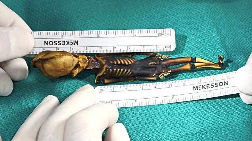 slide_291697_2369045_free