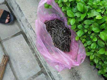 13936935_1026113220843217_1866539021_n