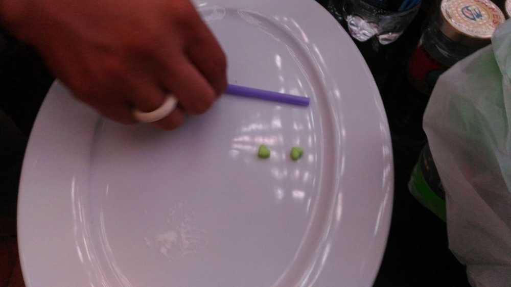 15233769_2166195970273033_1606126394_o