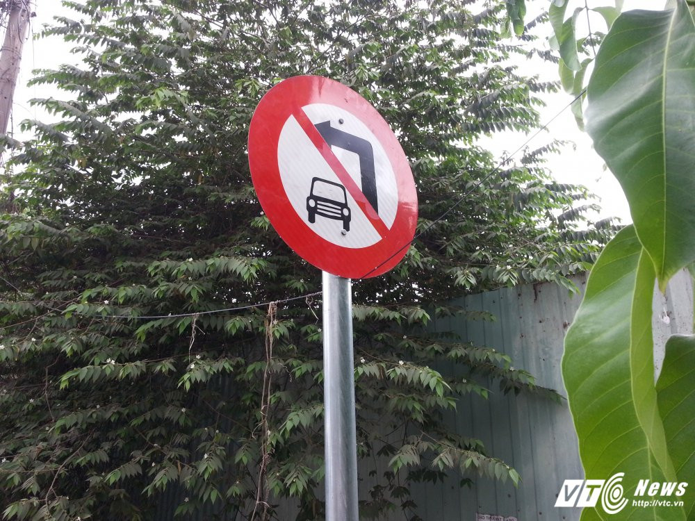 Hinh anh Bien bao, den tin hieu giao thong “nup” bong cay, tai xe keu troi 12