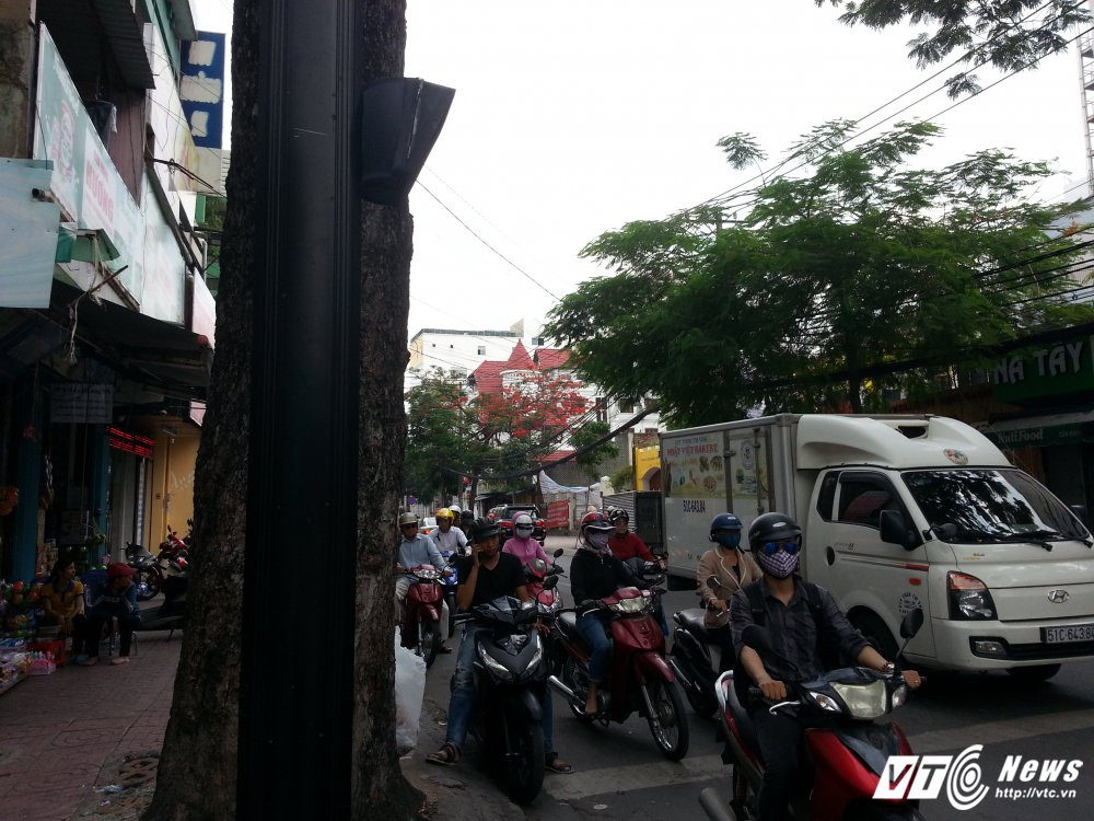 Hinh anh Bien bao, den tin hieu giao thong “nup” bong cay, tai xe keu troi