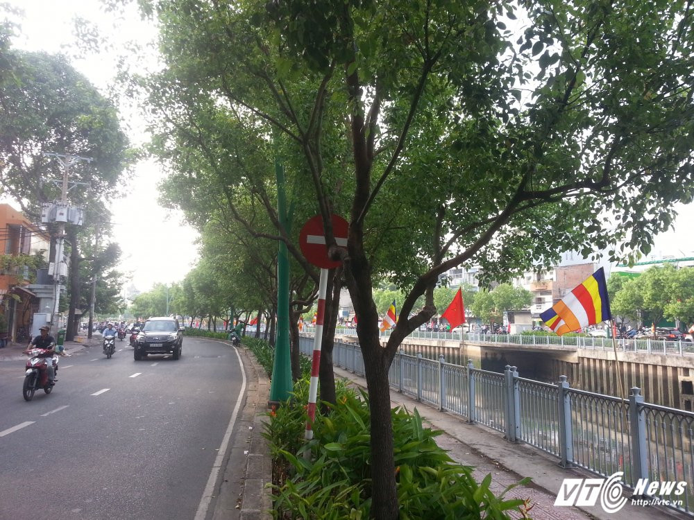 Hinh anh Bien bao, den tin hieu giao thong “nup” bong cay, tai xe keu troi 3