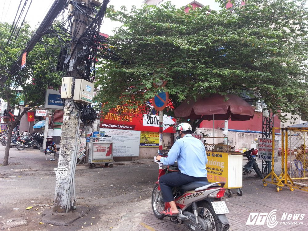 Hinh anh Bien bao, den tin hieu giao thong “nup” bong cay, tai xe keu troi 5