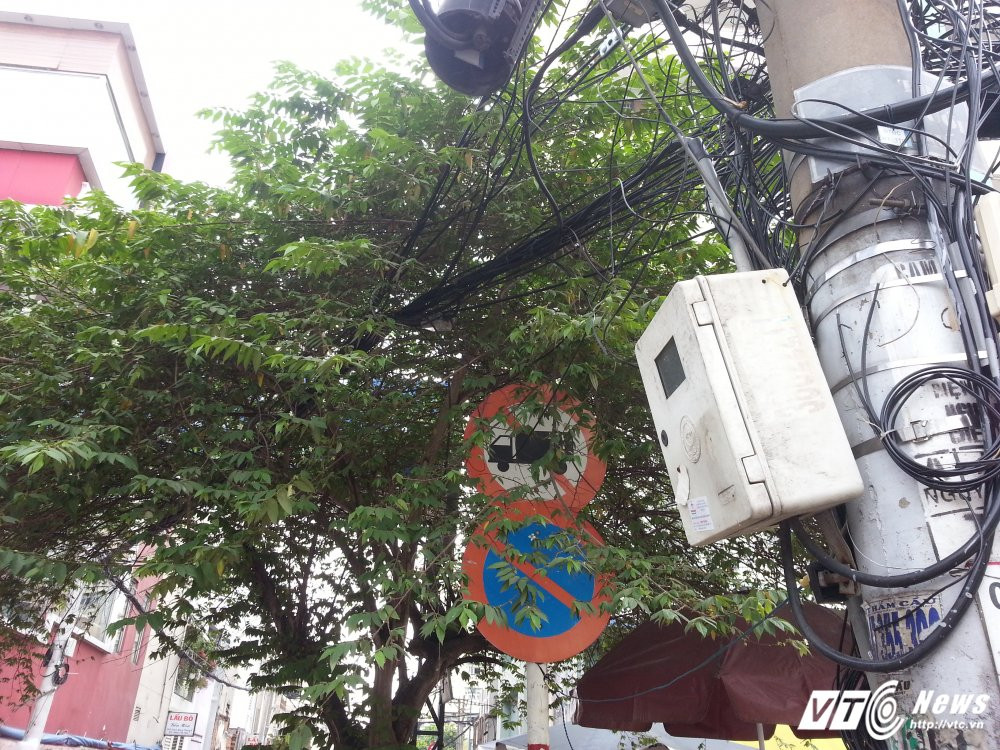 Hinh anh Bien bao, den tin hieu giao thong “nup” bong cay, tai xe keu troi 6