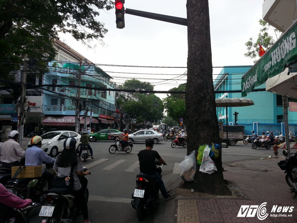 Hinh anh Bien bao, den tin hieu giao thong “nup” bong cay, tai xe keu troi 8