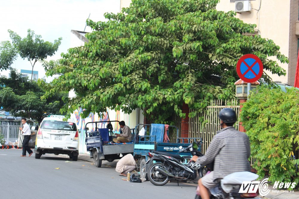 Hinh anh Co bien bao nhu khong, dan Sai Gon vo tu di vao duong cam 10
