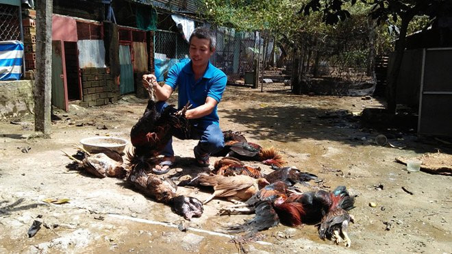 1507624384-tphcm-ro-ri-khi-doc-4-nguoi-nhap-vien-vat-nuoi-chet-la-liet-khi-doc--6--1507624242-width660height371 3