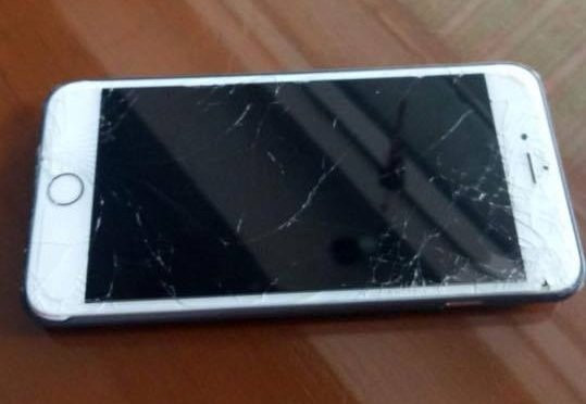 23114831_1469560209828885_1149741134_n