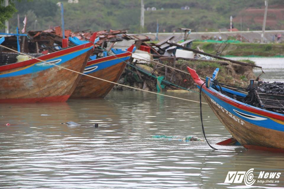 23201931_473753769688702_1006475250_n