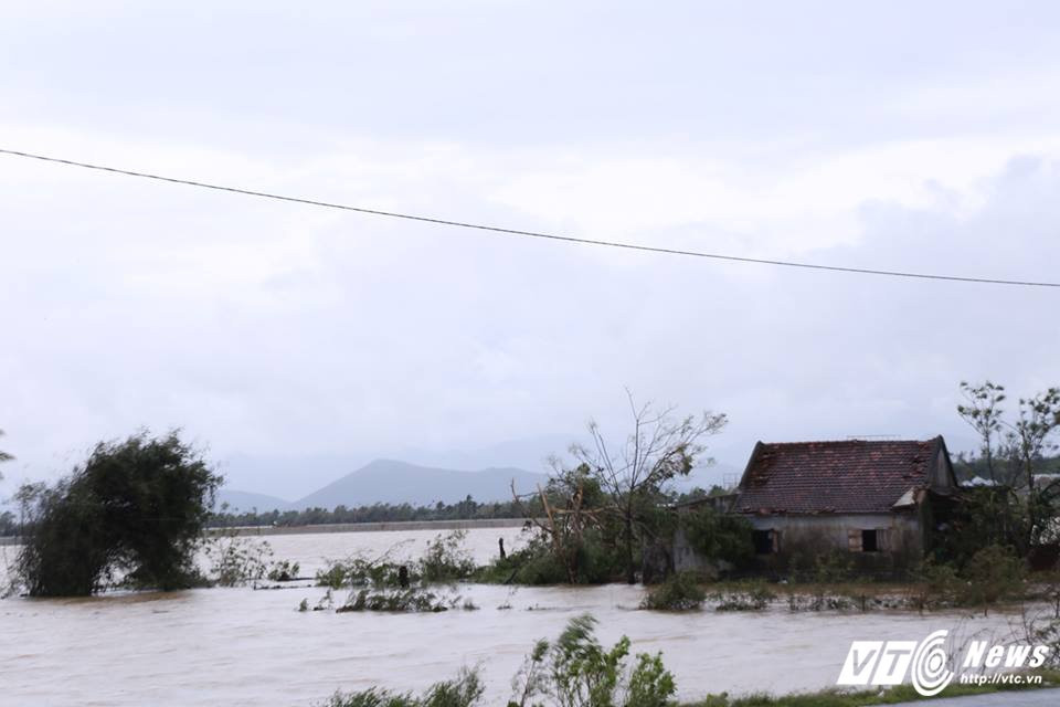 23226816_473779173019495_1789246573_n 7