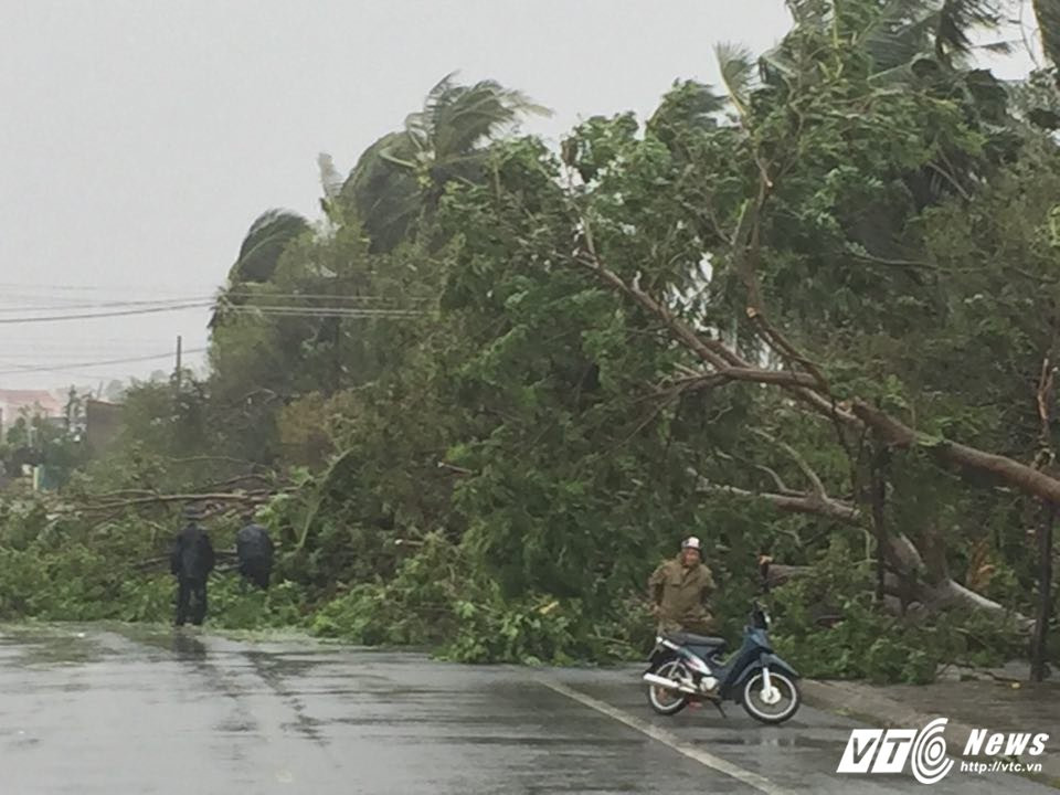 23316115_473662503031162_1973082409_n