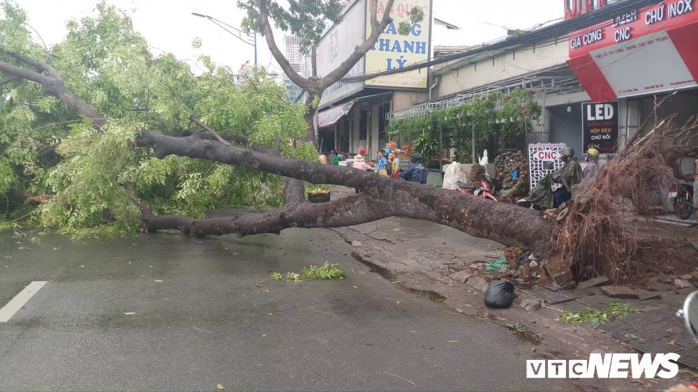 34584575_1684402985011272_2181171206806306816_n