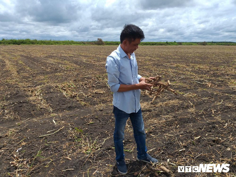 37303521_674776732865030_8188684548045799424_n