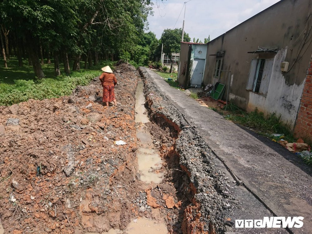 41663744_529020427558940_5032308327686602752_n 3