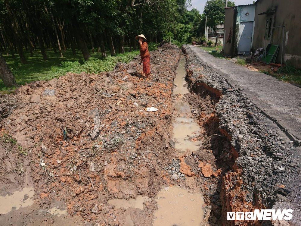 41617491_1859164734166275_3442982467512827904_n 3